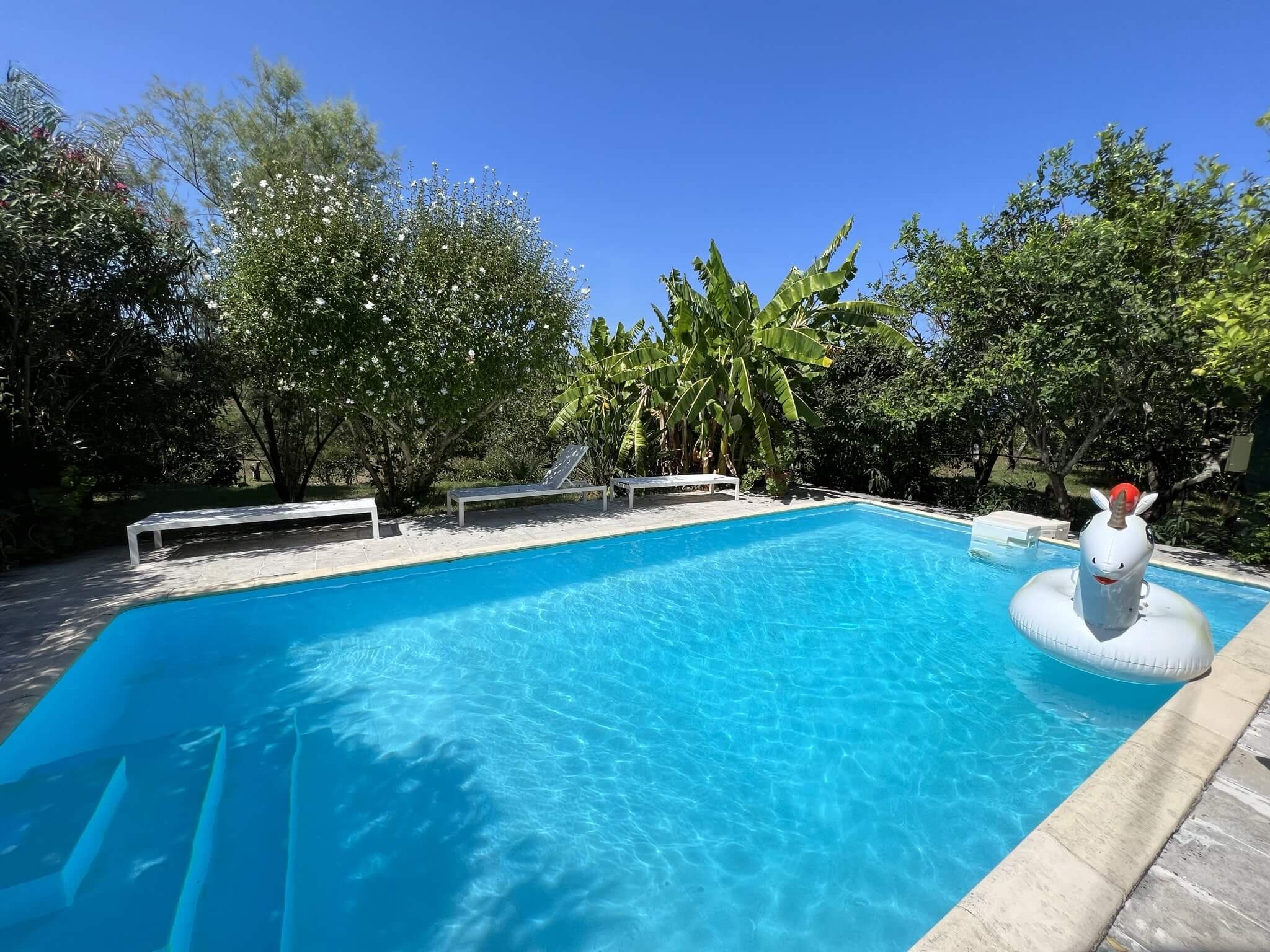 Your Pool